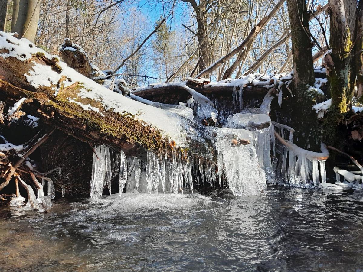 Kuznia Nowica Apartamento Uscie Gorlickie Exterior foto